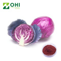 Red Cabbage Color Natural Powder Pigment